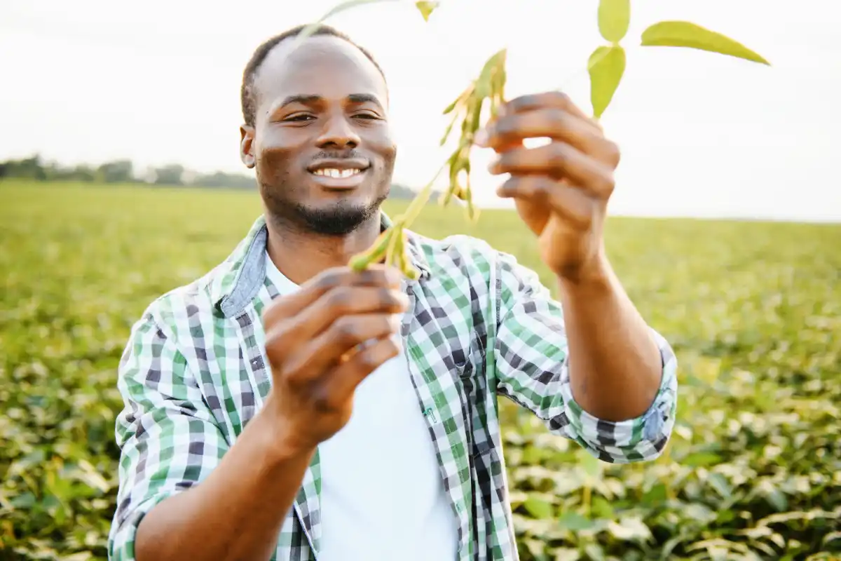 Soybean Value Chain Project Facilities